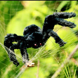 Halloween Horrible Big Black Furry Fake Spider  Halloween Decoration - EverythingWhatYouWant