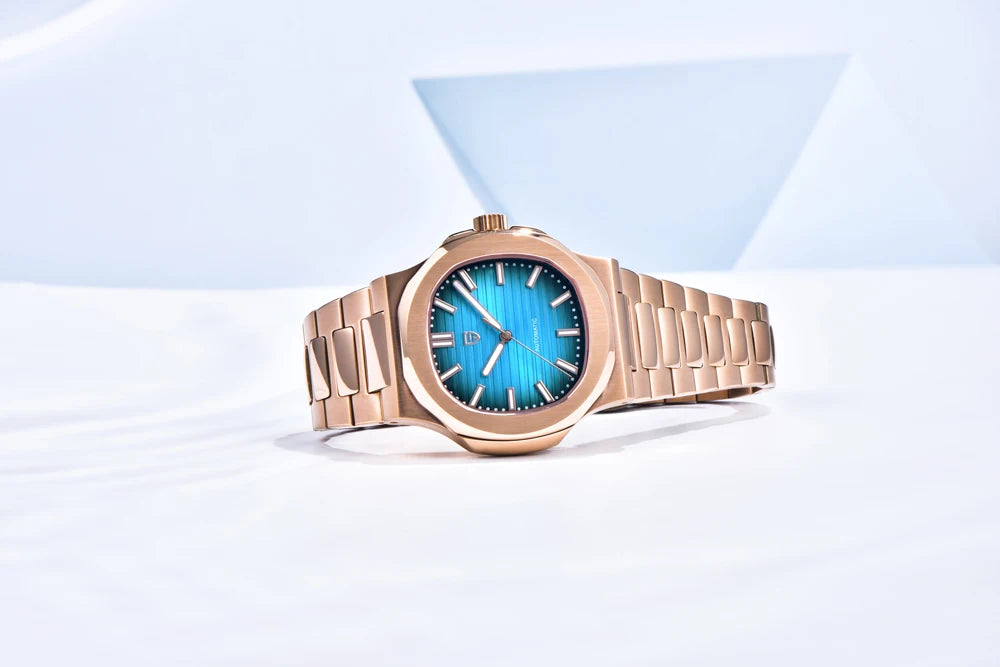 PAGANI DESIGN Top Luxury Automatic Watch For Men Mechanical Watches Men Sports Waterproof Sapphire Stainless Steel Reloj Hombre - EverythingWhatYouWant