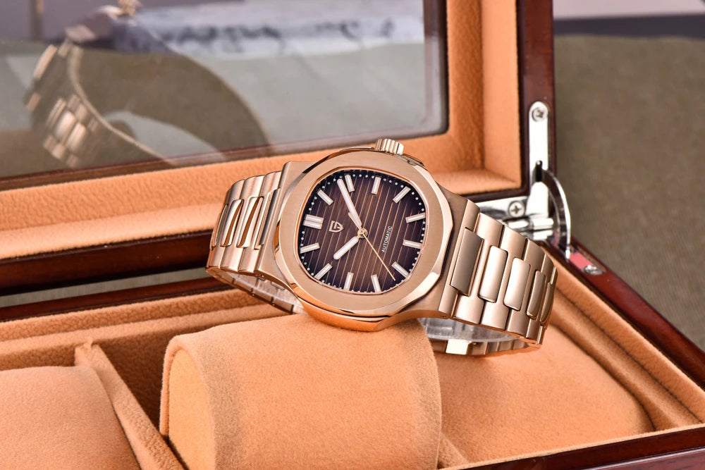 PAGANI DESIGN Top Luxury Automatic Watch For Men Mechanical Watches Men Sports Waterproof Sapphire Stainless Steel Reloj Hombre - EverythingWhatYouWant