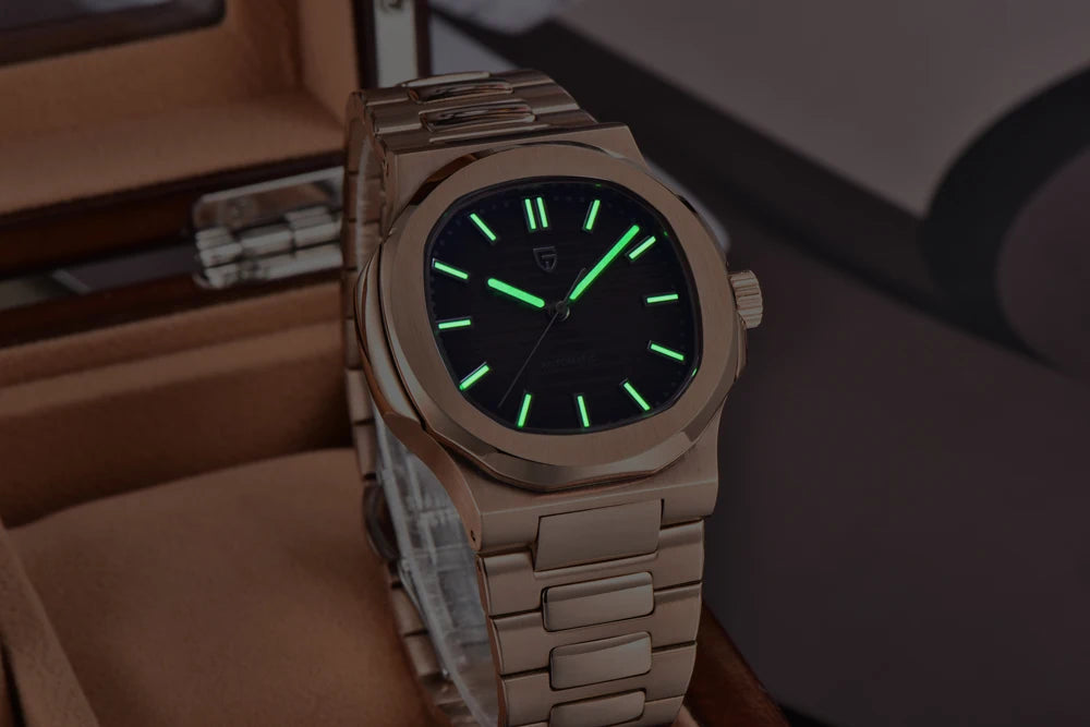 PAGANI DESIGN Top Luxury Automatic Watch For Men Mechanical Watches Men Sports Waterproof Sapphire Stainless Steel Reloj Hombre - EverythingWhatYouWant